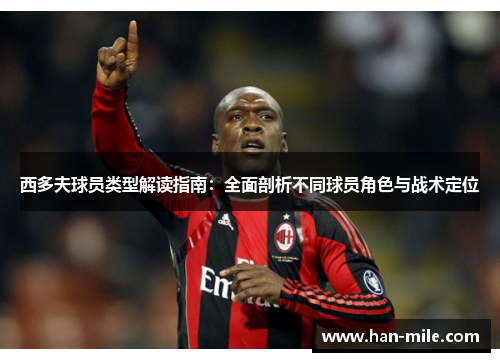西多夫球员类型解读指南：全面剖析不同球员角色与战术定位