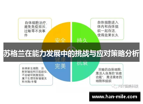 苏格兰在能力发展中的挑战与应对策略分析 苏格兰在能力发展中的挑战与应对策略分析